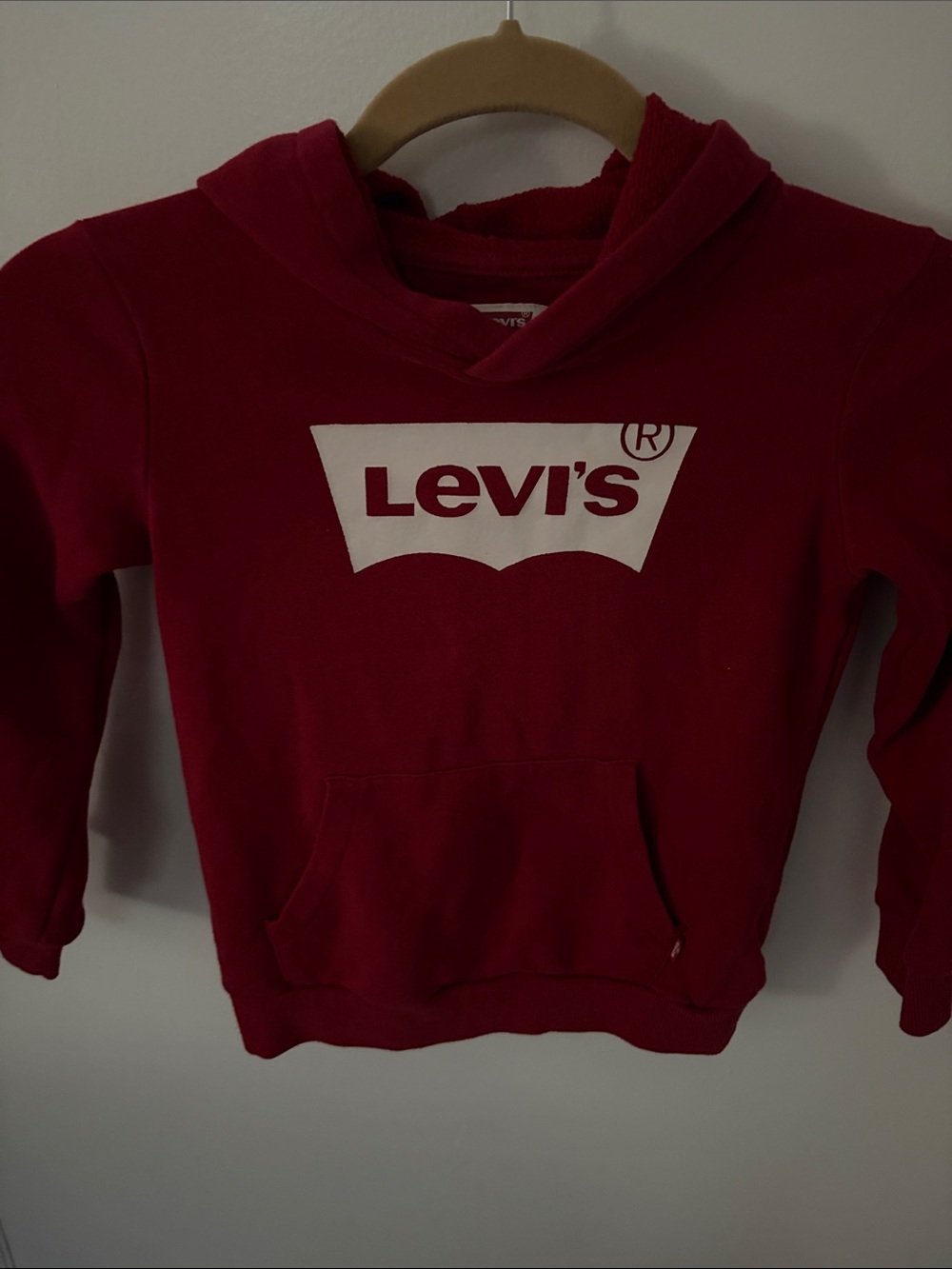 Levi's Kids Red Hoodie with White Logo